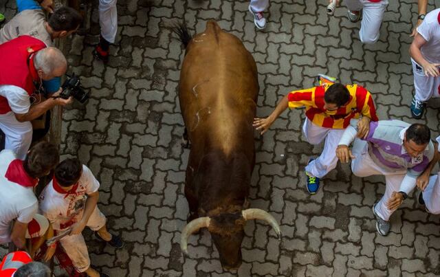 El toro que decidió no ser parte de las Fiestas de San Fermín