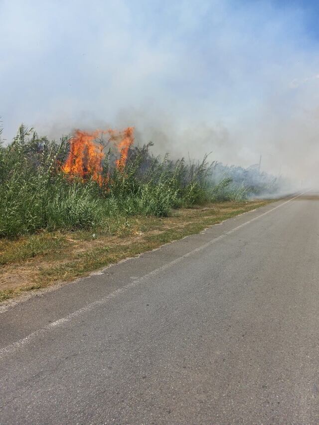 Autoridades cierran carretera PR-1 entre Juana Díaz y Santa Isabel por fuego forestal