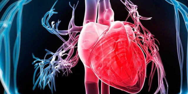 Científicos japoneses logran primer trasplante de células madre para tratar los infartos