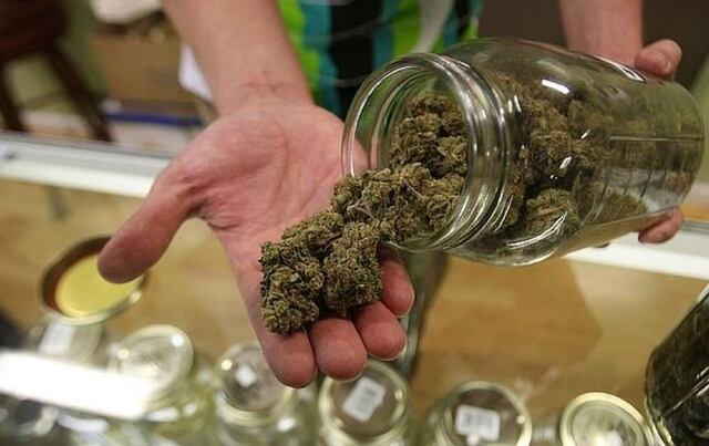 Suspenden otorgación de licencias para nuevos dispensarios de Cannabis Medicinal