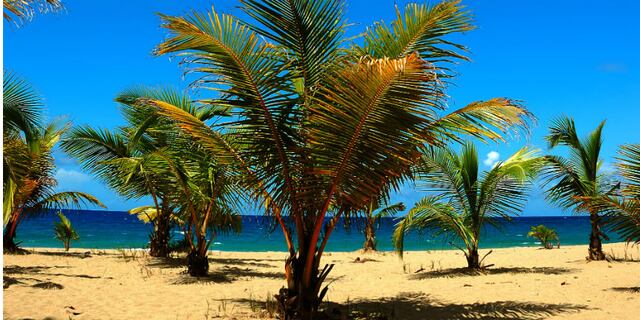 Profesor universitario se ahoga en playa de Isabela