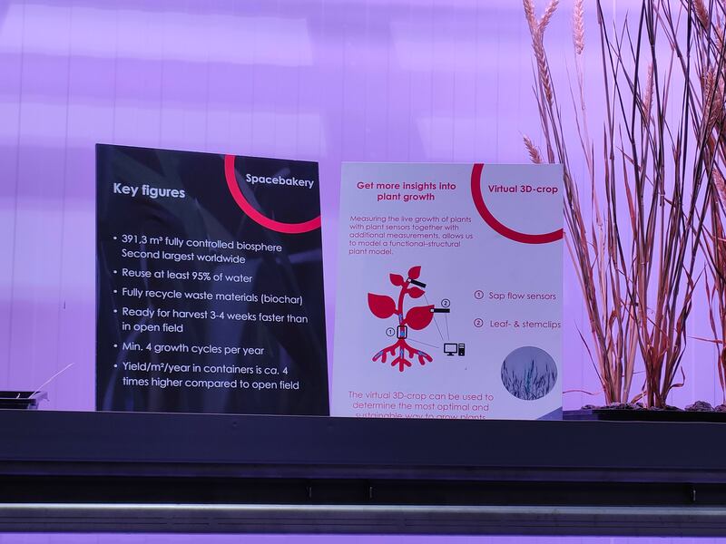 Un guía te explicará cada una de las investigaciones que se llevan a cabo.