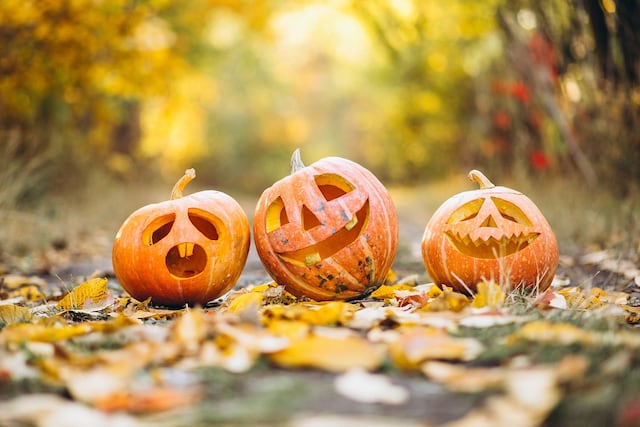 Colegio de Terapia Ocupacional ofrece consejos para pacientes con esquizofrenia durante Halloween