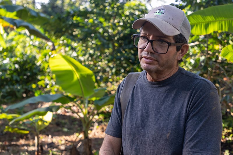 Francisco Arroyo, propietario de la finca K & V Caribe, en Adjuntas, desistió de contratar obreros extranjeros por el alto costo que le supuso traer a Puerto Rico cuatro personas de México en el 2023 ($60,000) para recoger café.