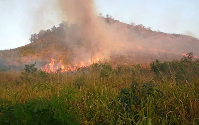 En llamas 30 cuerdas de pasto en el sur