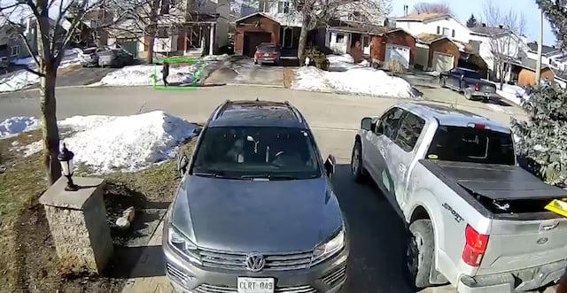 Perro salva la vida de su dueña al detener tráfico para buscar ayuda