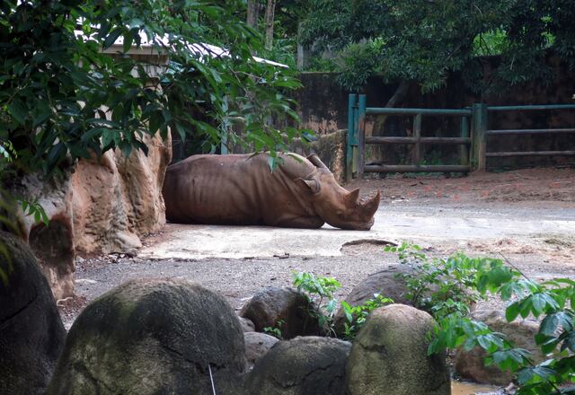 Animales eutanizados y dados vivos como alimento de otros fueron algunos de los hallazgos  en el Zoológico