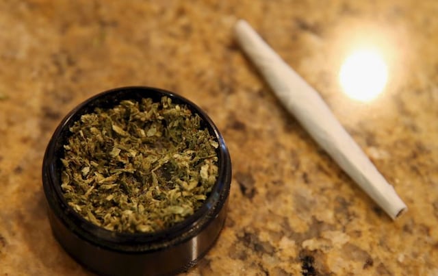 Estudio revela que los consumidores de marihuana tienen mayor cantidad de metales en su sangre