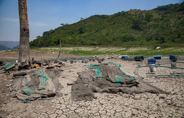 El calor extremo y las sequías serán cinco veces más frecuentes al final del siglo