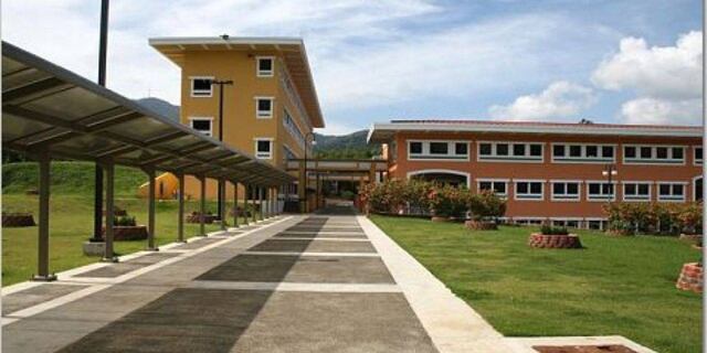 Exrectora de la UPR de Utuado se declara culpable en caso de Crece 21