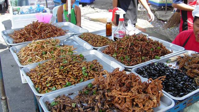 Estudio clínico asegura que comer insectos puede ser bueno para la salud