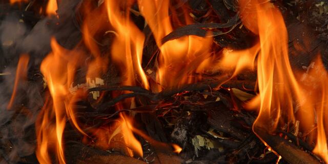 Incendio en hacienda de Carolina deja grandes pérdidas