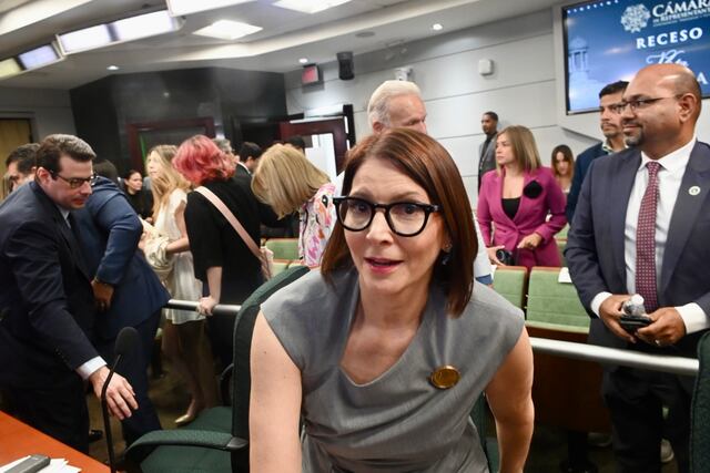 Cámara confirma a Ferraiuoli como secretaria de Estado