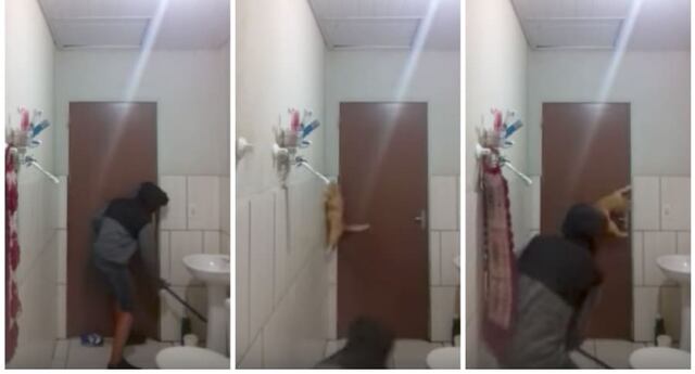 Joven y su gato entran en pánico al ver un ratón