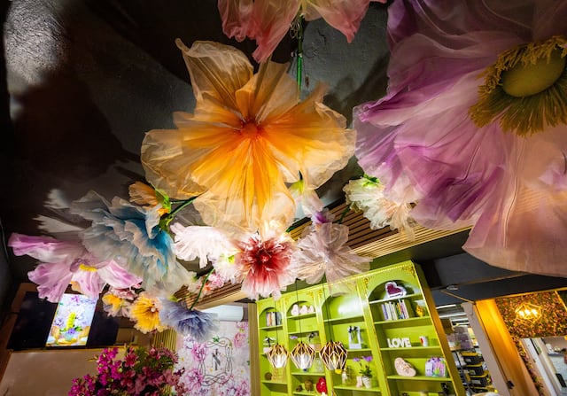 “Floristree”: Busca revolucionar la industria floral en Puerto Rico