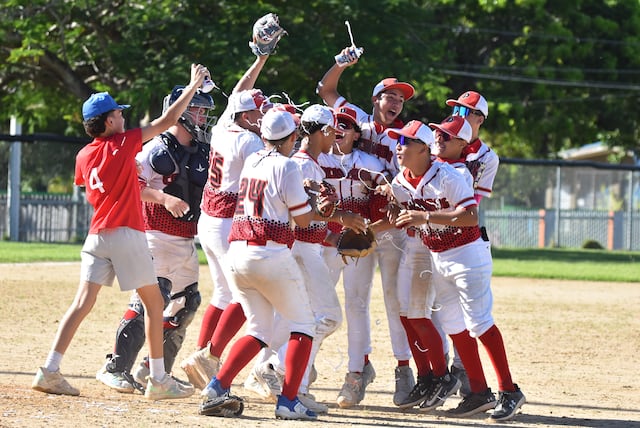 Cachorros de Ponce se coronan campeones de la pelota Sub 15