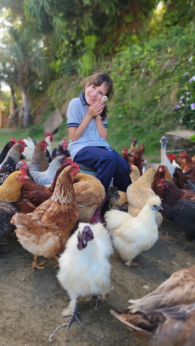 La Finca de los Huevos de Colores es un proyecto agroeducativo liderado por Sofía Marmolejo González y su familia.