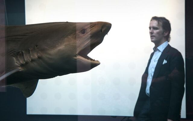 Científicos encuentran "tiburones mutantes" nadando en cráter volcánico