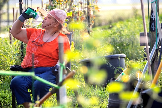 El verano no ha comenzado oficialmente y el calor extremo se deja sentir a grandes niveles