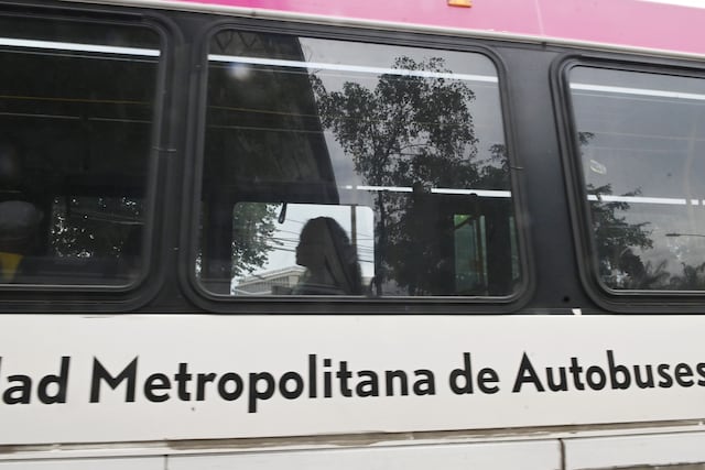 AMA estrena ruta que conectará Carolina, Loíza y Canóvanas