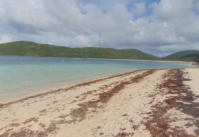 Destacan a Culebra entre los destinos para visitar este 2024