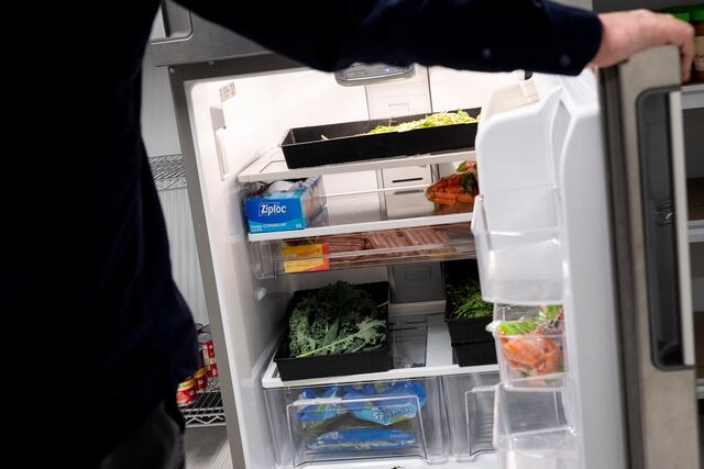 Consejos para preservar tus alimentos y protegerlos de las bacterias