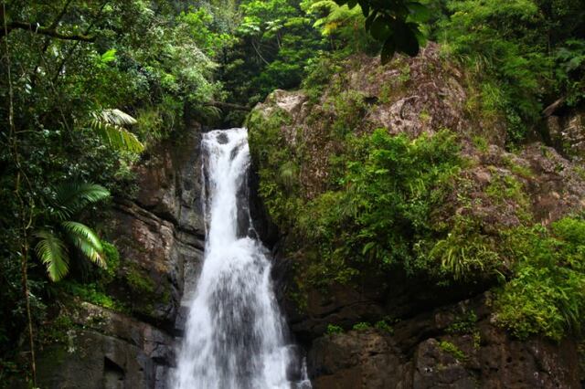 Autoridades identifican a hombre que sufrió caída en cascada del Yunque