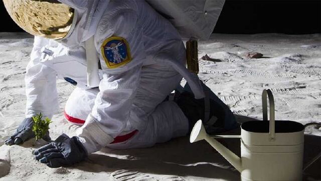 Razones del por qué la NASA llevará plantas a la Luna en 2026