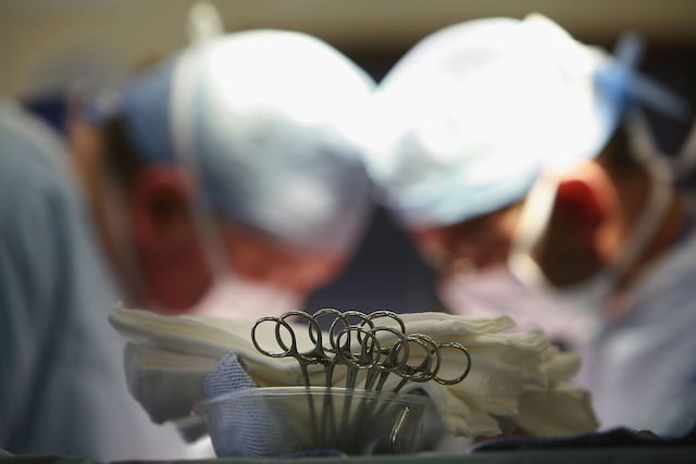Órganos humanos cultivados en laboratorios marcarán el futuro de la medicina