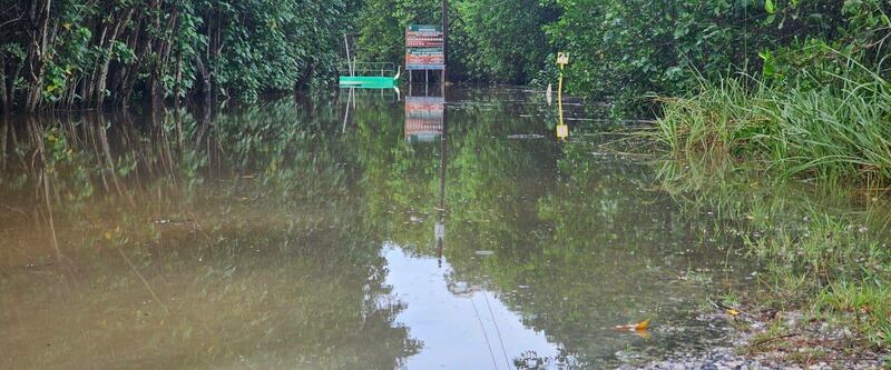 Lluvias provocan inundación del Refugio de Vida Silvestre de Boquerón ...