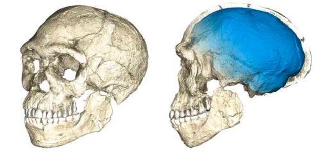 Homo sapiens es más antiguo de lo que se pensaba