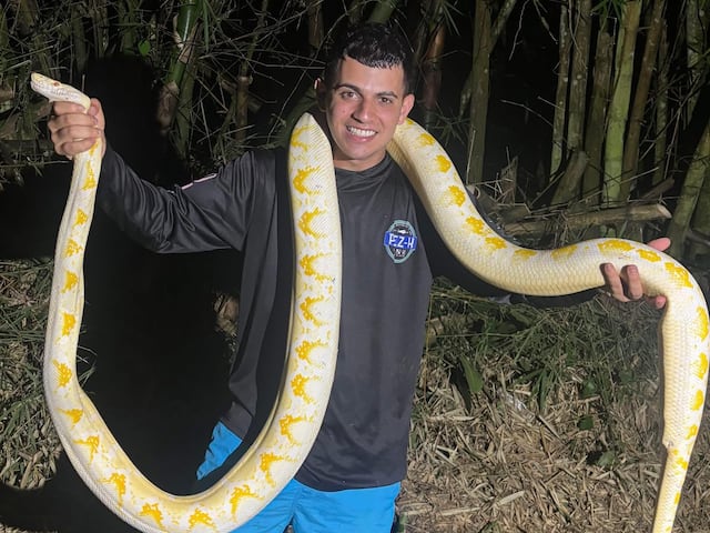 Gongo Fishing regresa a sus labores tras dar negativo a leptospirosis