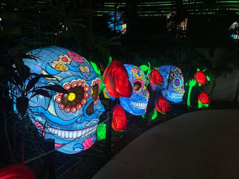 Show de luces en el Parque de las Ciencias by Toroverde powered by Claro en Bayamón