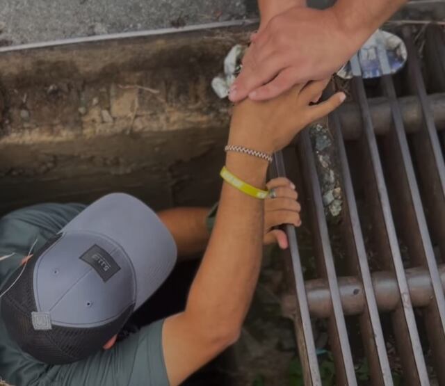 Fotoperiodista de Wapa rescata pollitos que cayeron en alcantarilla para que vuelvan con mamá gallina