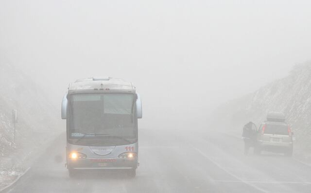 Bajas temperaturas traen nieve a Florida