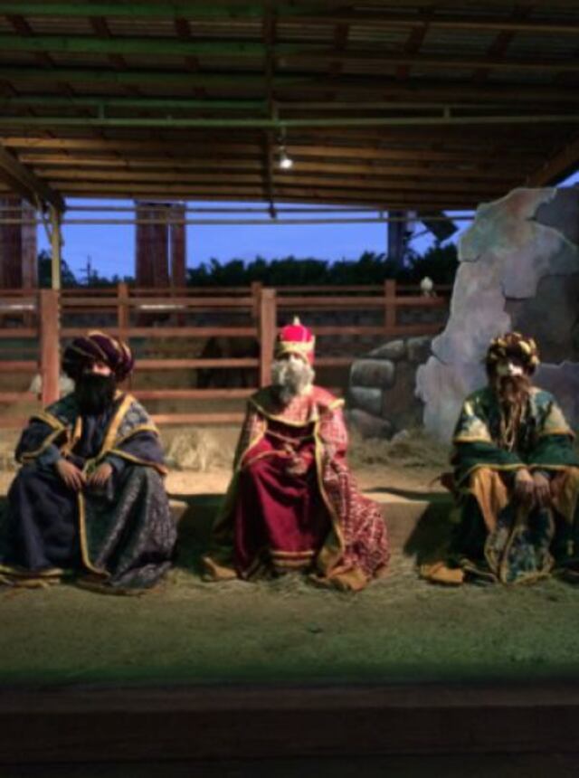 Un jardín navideño lleno de magia