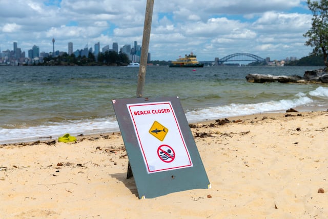 Horror en una playa de Australia: un tiburón mata a un hombre ante la mirada de bañistas