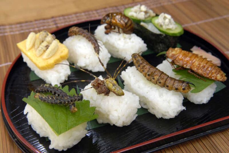 Sushi de insectos