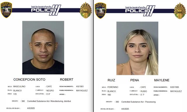 Acusan a pareja arrestada con 200 plantas de marihuana en Mayagüez