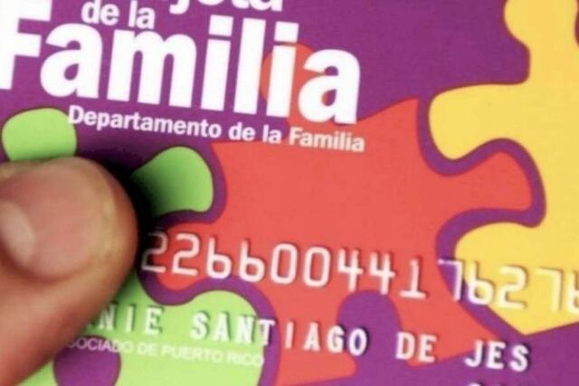 Investigarán por qué muchos recipientes del PAN no entran al mercado laboral