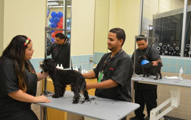 Petco abre en Aguadilla