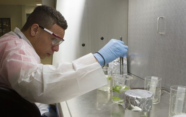 Jóvenes encaminados hacia carrera en biotecnología en innovador campamento
