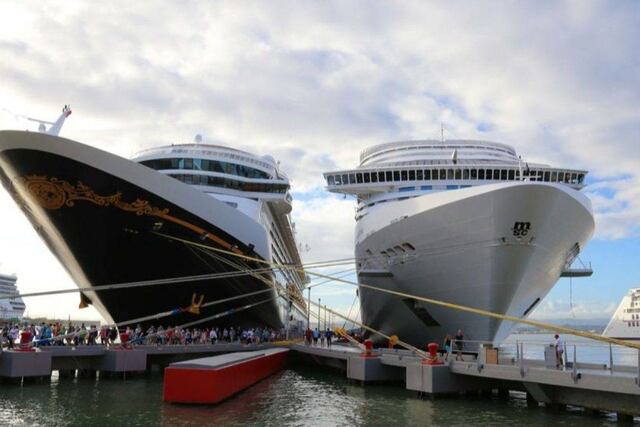 CDC autorizaría este verano operación de cruceros desde puertos de EEUU