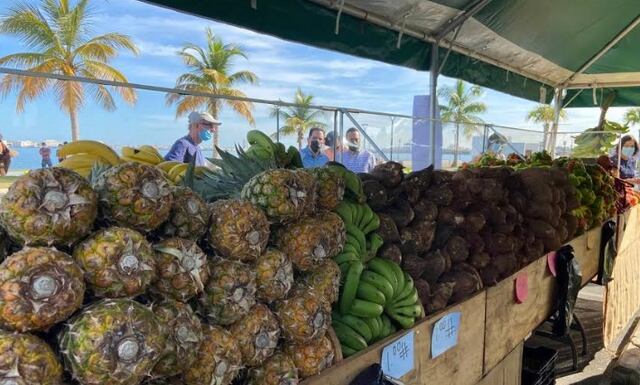 Mercados Familiares recorrerán 19 pueblos en primer trimestre de 2021