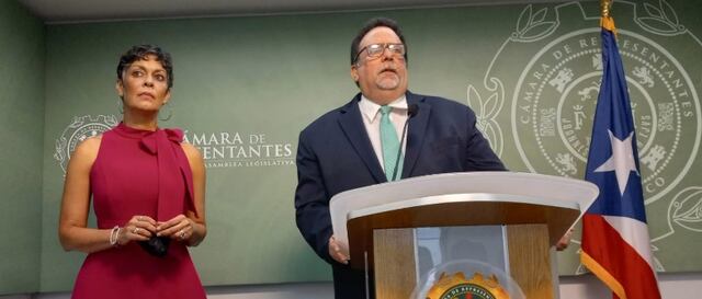 Miembros del PIP rechazan propuesta para privatizar la generación de la AEE
