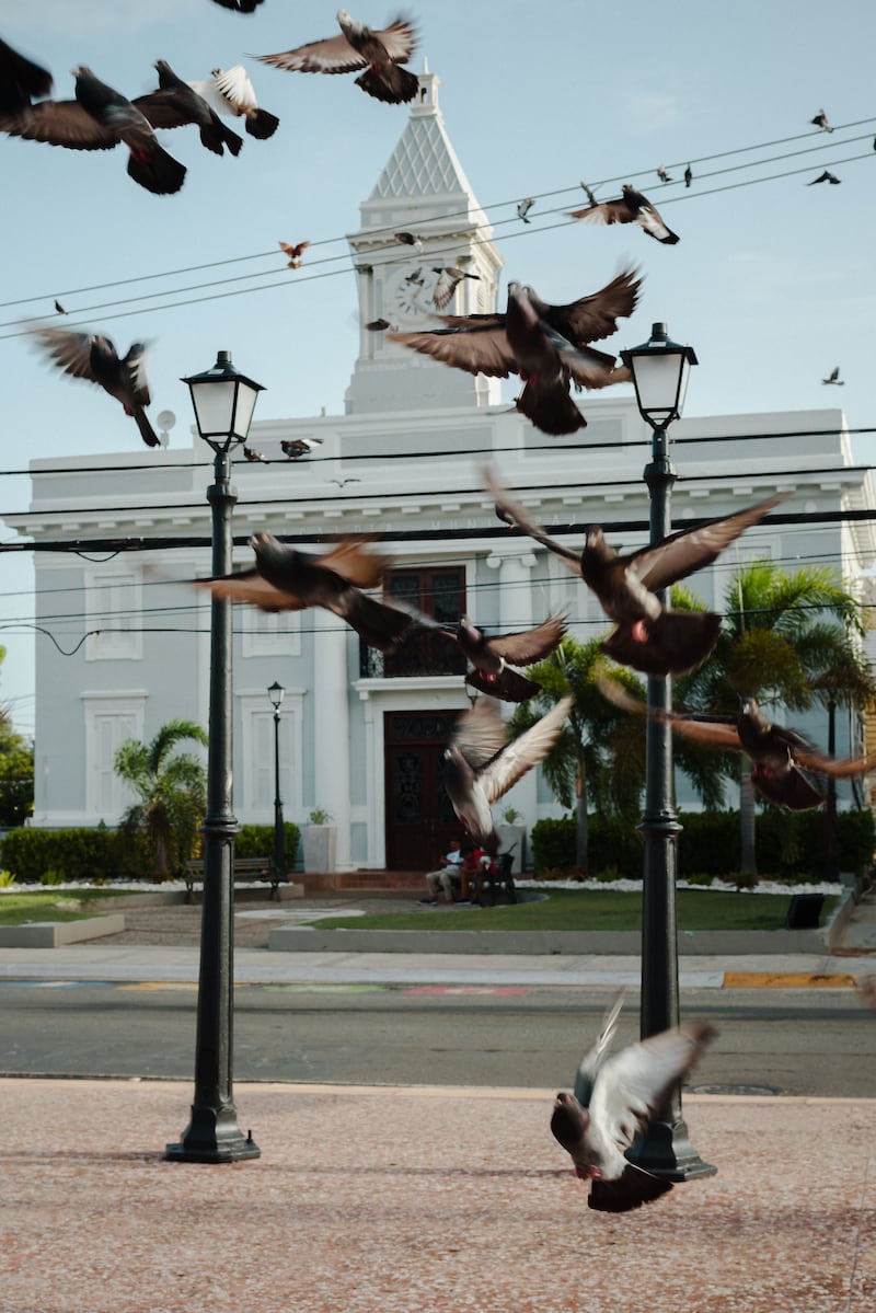 12 de julio de 2024. Salinas, PR. Foto del pueblo de Salinas. (Foto por Esteban G. Morales Neris | Centro de Periodismo Investigativo/Grist)