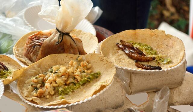5 comidas raras del mundo