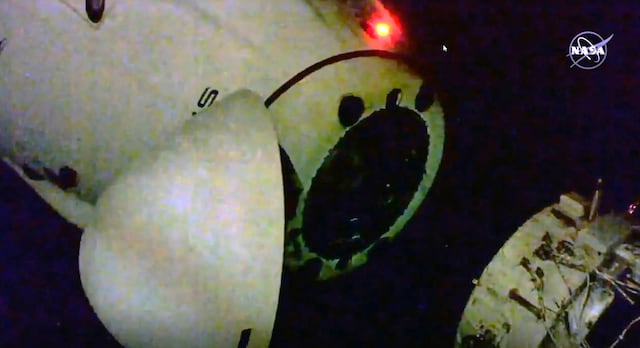 Cápsula de SpaceX parte con 4 astronautas hacia la Tierra