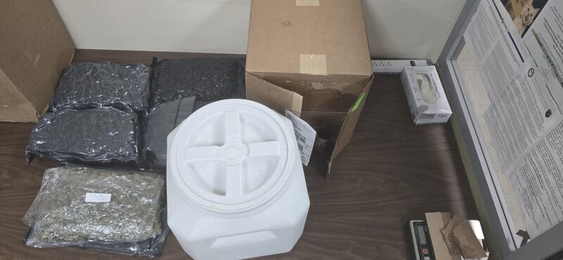 Hallan 15 libras de marihuana en oficinas UPS de Mayagüez.