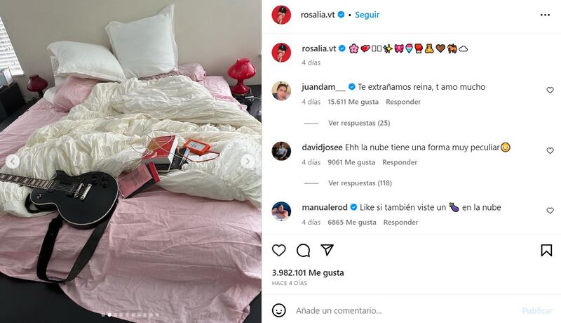 (Foto: Captura de Instagram @rosalia)